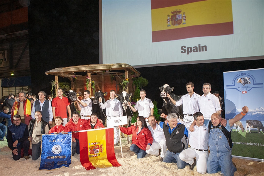 Dcimo aniversario: Espaa, mejor pas Holstein de Europa 2013