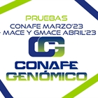 Nuevas pruebas CONAFE Marzo 2023 + MACE y GMACE Abril 2023