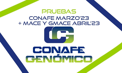 Nuevas pruebas CONAFE Marzo 2023 + MACE y GMACE Abril 2023