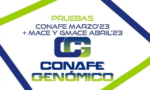 Nuevas pruebas CONAFE Marzo 2023 + MACE y GMACE Abril 2023