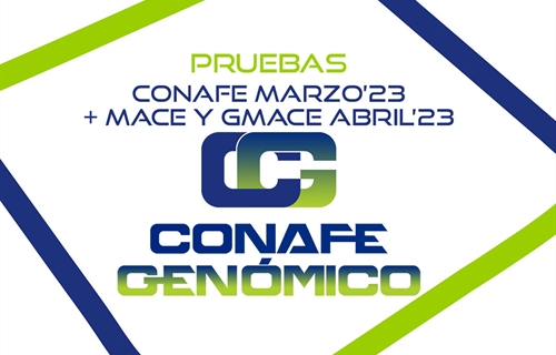 Nuevas pruebas CONAFE Marzo 2023 + MACE y GMACE Abril 2023