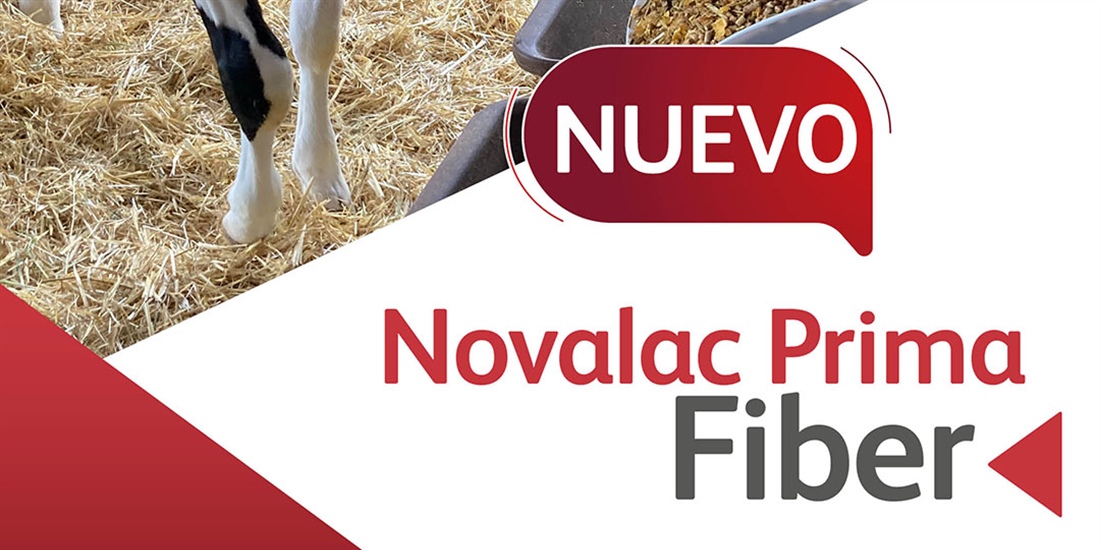 Novalac Prima Fiber, el nuevo starter texturizado de Nanta para...