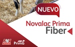 Novalac Prima Fiber, el nuevo starter texturizado de Nanta para terneras lactantes