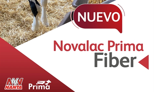 Novalac Prima Fiber, el nuevo starter texturizado de Nanta para...