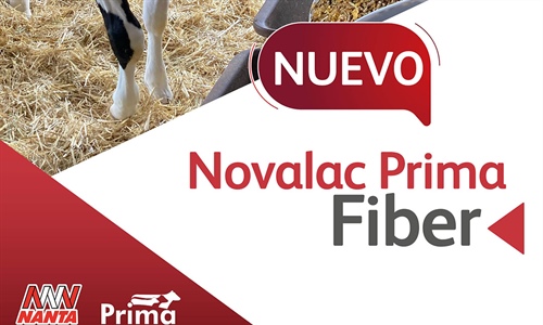 Novalac Prima Fiber, el nuevo starter texturizado de Nanta para...