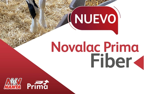 Novalac Prima Fiber, el nuevo starter texturizado de Nanta para...