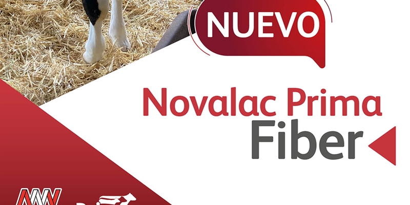 Novalac Prima Fiber, el nuevo starter texturizado de Nanta para terneras lactantes
