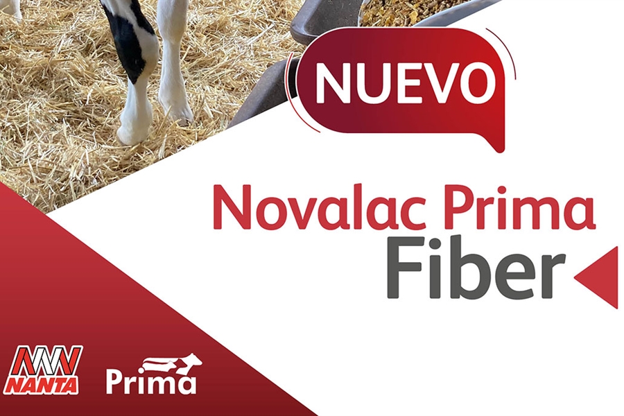 Novalac Prima Fiber, el nuevo starter texturizado de Nanta para...