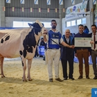 Rey 814 Beemer Yuri, Vaca Gran Campeona de Moexmu 2023