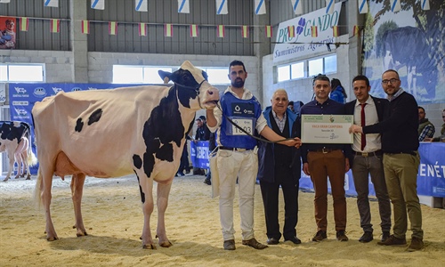 Rey 814 Beemer Yuri, Vaca Gran Campeona de Moexmu 2023