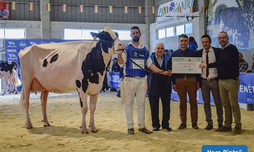 Rey 814 Beemer Yuri, Vaca Gran Campeona de Moexmu 2023