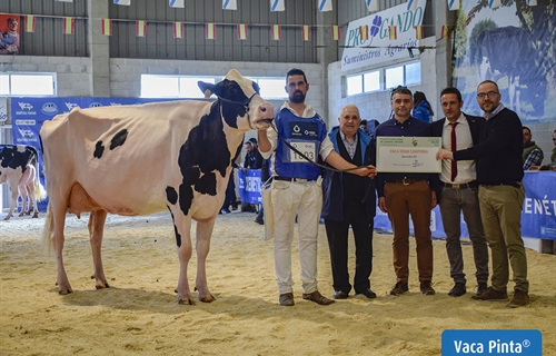 Rey 814 Beemer Yuri, Vaca Gran Campeona de Moexmu 2023