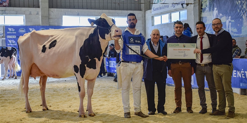 Rey 814 Beemer Yuri, Vaca Gran Campeona de Moexmu 2023