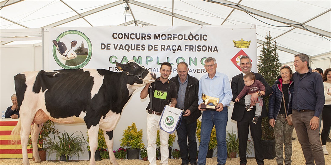 Campgran Rocksteady Lambda, Vaca Gran Campeona de Catalua 2023