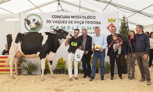 Campgran Rocksteady Lambda, Vaca Gran Campeona de Catalua 2023