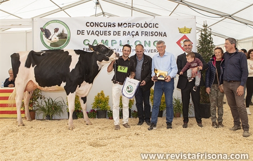 Campgran Rocksteady Lambda, Vaca Gran Campeona de Catalua 2023