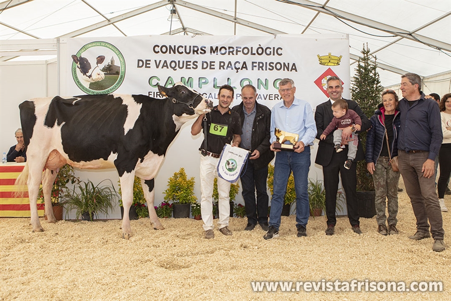 Campgran Rocksteady Lambda, Vaca Gran Campeona de Catalua 2023