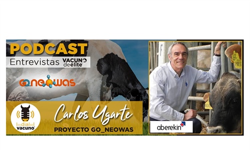 Entrevista a Carlos Ugarte, director de Aberekin, sobre su colaboracin...