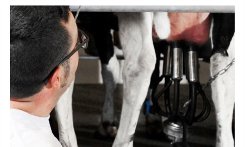 El proyecto REVALLET busca revalorizar la leche de desecho de granjas...