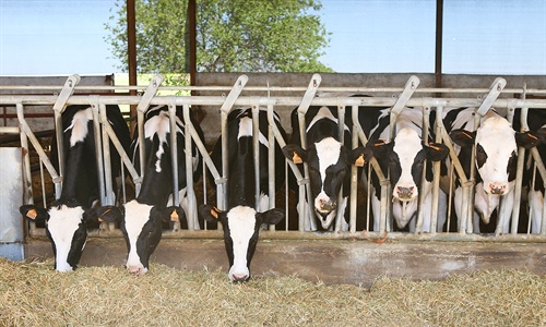 Encuesta sobre ganadería de precisión dirigida a ganaderos de vacuno de...