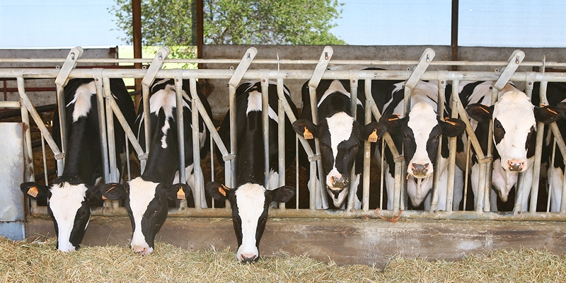 Encuesta sobre ganadera de precisin dirigida a ganaderos de vacuno de leche en Espaa