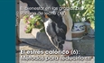 El bienestar en las granjas de vacuno de leche (XII): El estrs calrico (6): Mtodos para reducirlo (3)