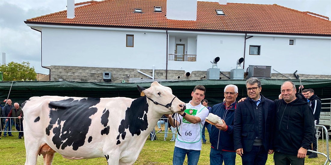 Somoboo Elvira Elude (Somoboo), Vaca Gran Campeona en el Concurso de...