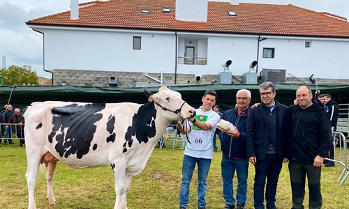 Somoboo Elvira Elude (Somoboo), Vaca Gran Campeona en el Concurso de...