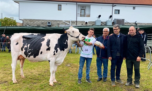 Somoboo Elvira Elude (Somoboo), Vaca Gran Campeona en el Concurso de...