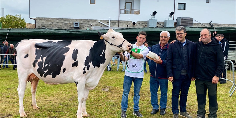 Somoboo Elvira Elude (Somoboo), Vaca Gran Campeona en el Concurso de Ganado Vacuno Frisón de Galizano 2023
