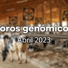 Nuevos toros genmicos con Prueba Oficial: Evaluacin genmica de abril 2023