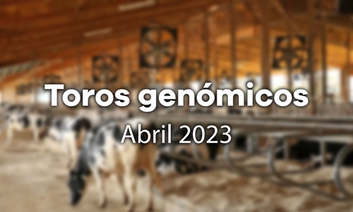 Nuevos toros genómicos con Prueba Oficial: Evaluación genómica de abril...