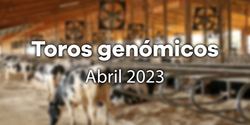 Nuevos toros genómicos con Prueba Oficial: Evaluación genómica de abril 2023