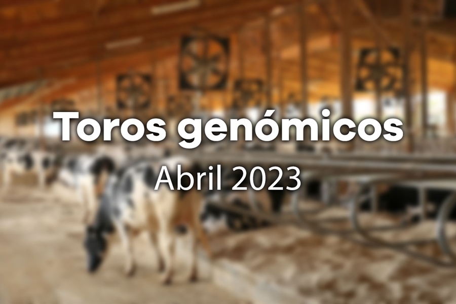 Nuevos toros genómicos con Prueba Oficial: Evaluación genómica de abril...
