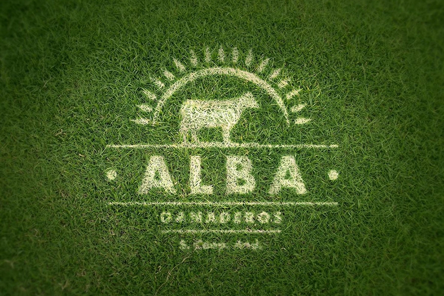 La cooperativa Alba Ganaderos rompe con Lactalis-Puleva para iniciar un...