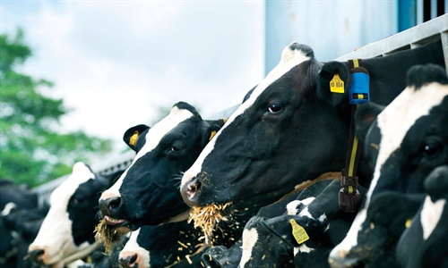 MSD Animal Health desplegar su gama de productos y soluciones...