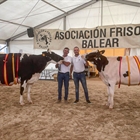 Trencadeta Douglas Venus (Torre Trencadeta), Vaca Gran Campeona de Mallorca 2023