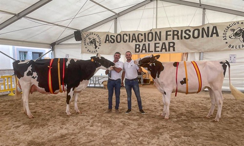 Trencadeta Douglas Venus (Torre Trencadeta), Vaca Gran Campeona de...
