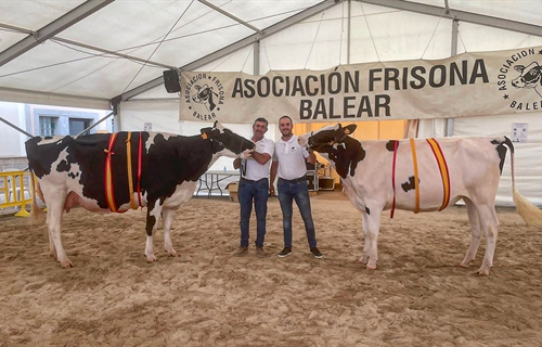 Trencadeta Douglas Venus (Torre Trencadeta), Vaca Gran Campeona de...