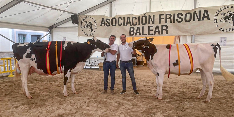 Trencadeta Douglas Venus (Torre Trencadeta), Vaca Gran Campeona de Mallorca 2023