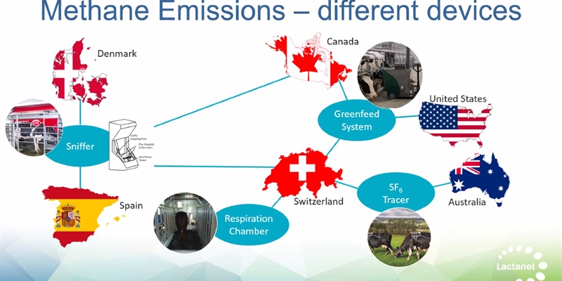 Destacan en ICAR 2023 la colaboración de CONAFE en proyectos internacionales de emisiones de metano y eficiencia alimentaria en ganadería