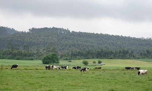 Cantabria convoca ayudas para compensar las dificultades de recogida de...