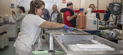 Las visitas tcnicas a LILCAM y la ganadera Rosado Hontanilla cerraron el Congreso ICAR 2023