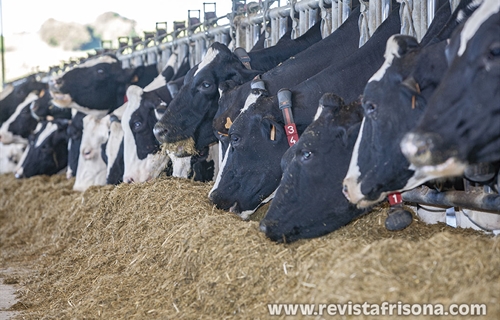 #RealidadGanadera: El confinamiento no equivale automticamente a un...