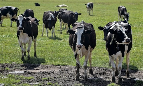 La Comisin Europea afirma que la relajacin de control de tuberculosis...