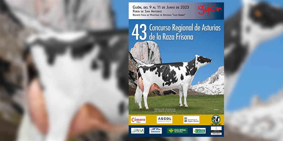 43 Concurso Regional de Asturias de la Raza Frisona 2023