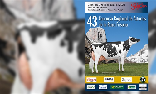 43 Concurso Regional de Asturias de la Raza Frisona 2023