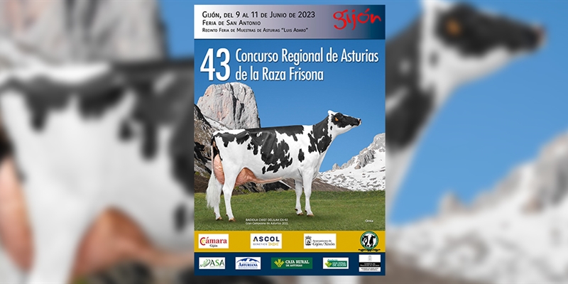 43 Concurso Regional de Asturias de la Raza Frisona 2023