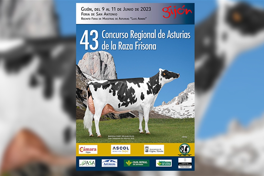 43 Concurso Regional de Asturias de la Raza Frisona 2023