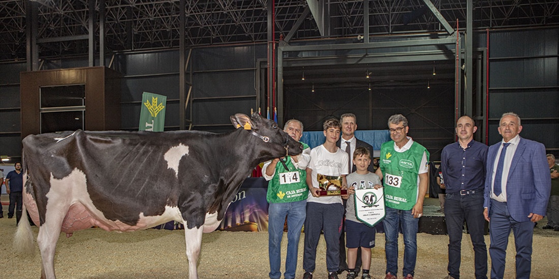 Badiola Crushabull Kinina, Vaca Gran Campeona de Asturias 2023